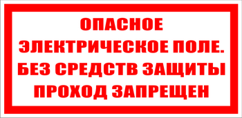 S13 опасное электрическое поле. без средств защиты проход запрещен (пластик, 200х100 мм) - Знаки безопасности - Знаки по электробезопасности - . Магазин Znakstend.ru